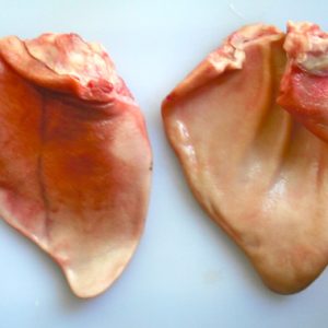 Buy Pigs Ears Online