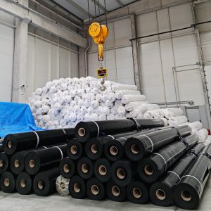 Buy LDPE/HDPE Geomembrane