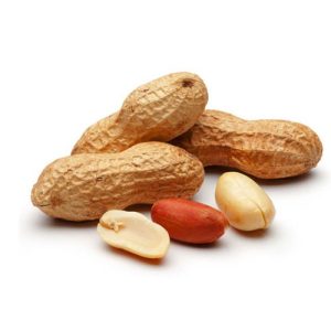 Buy Peanut Groundnut Online