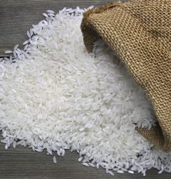 Rice_AdobeStock_64819529_E